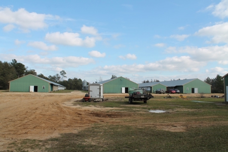 Thriving Poultry Breeder Farm For Sale in Rochelle, GA - image 35
