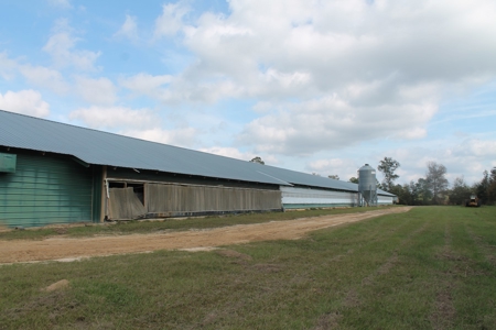 Thriving Poultry Breeder Farm For Sale in Rochelle, GA - image 6