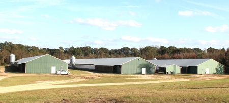 Thriving Poultry Breeder Farm For Sale in Rochelle, GA - image 44