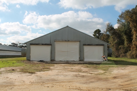 Thriving Poultry Breeder Farm For Sale in Rochelle, GA - image 40