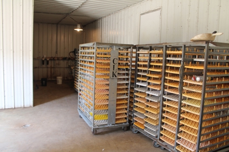 Thriving Poultry Breeder Farm For Sale in Rochelle, GA - image 20