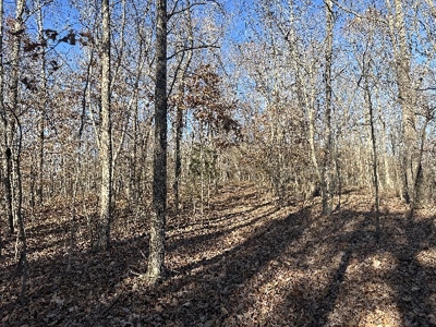 Country Home on 45.07 Acres For Sale In Wayne County, TN - image 39