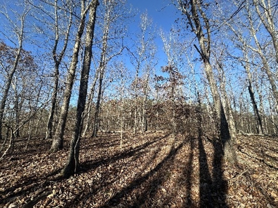 Country Home on 45.07 Acres For Sale In Wayne County, TN - image 38