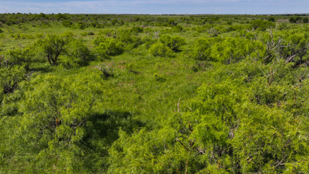 Legacy Ranch, Recreational, Residential, Archer Co Texas - image 37