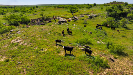 Legacy Ranch, Recreational, Residential, Archer Co Texas - image 3