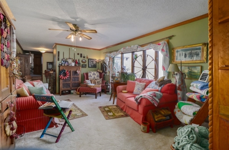 Extraordinary Horse or Hobby Farm with 27.75 Acres, Texas Co - image 16
