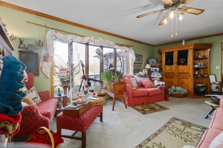 Extraordinary Horse or Hobby Farm with 27.75 Acres, Texas Co - image 17