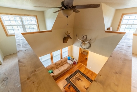 Farmhouse and Hobby Farm in Howell County Missouri - image 20