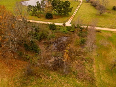 Farmhouse and Hobby Farm in Howell County Missouri - image 42