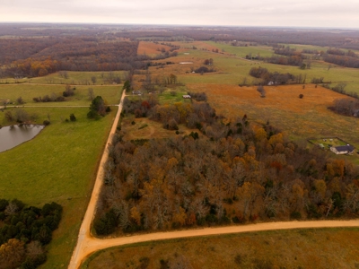 Farmhouse and Hobby Farm in Howell County Missouri - image 44