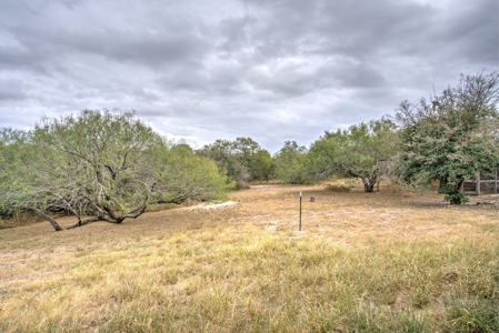 Ranch Style Home on 11.59 Acres in Nueces County, TX - image 5
