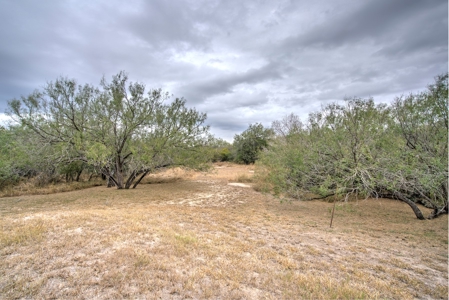 Ranch Style Home on 11.59 Acres in Nueces County, TX - image 6