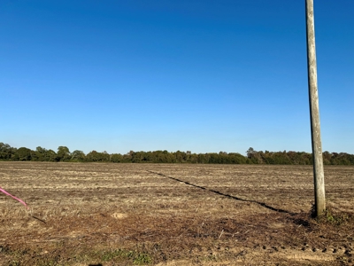 Land for sale Dothan, AL - image 1