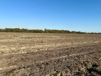 Land for sale Dothan, AL - image 2