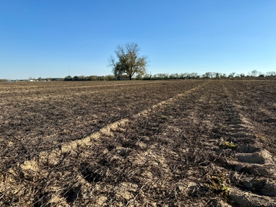 Land for sale Dothan, AL - image 5