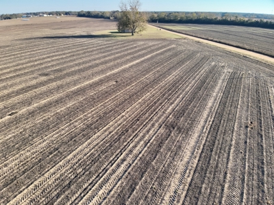 Land for sale Dothan, AL - image 7