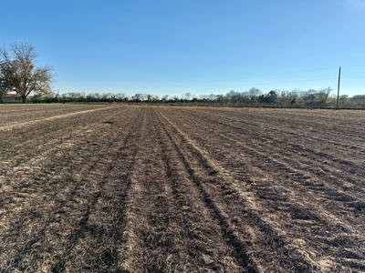 Land for sale Dothan, AL - image 3