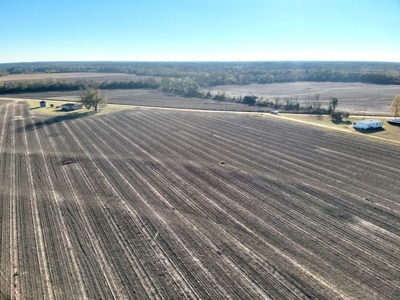 Land for sale Dothan, AL - image 6