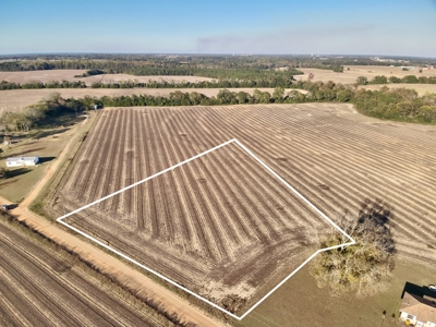 Land for sale Dothan, AL - image 9
