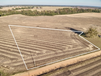 Land for sale Dothan, AL - image 10