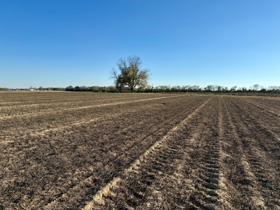 Land for sale Dothan, AL - image 4