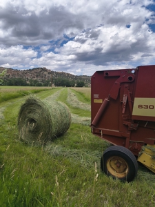 Huerfano River Cattle Ranch on 165 Acres for Sale in Red Wing, CO - image 37