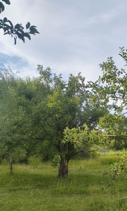 Huerfano River Cattle Ranch on 165 Acres for Sale in Red Wing, CO - image 46