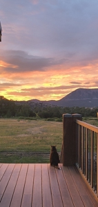 Huerfano River Cattle Ranch on 165 Acres for Sale in Red Wing, CO - image 44