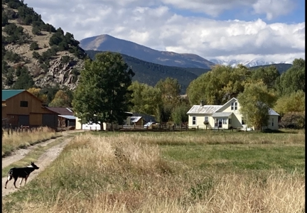 Huerfano River Cattle Ranch on 165 Acres for Sale in Red Wing, CO - image 44