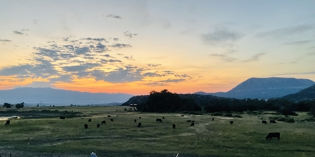 Huerfano River Cattle Ranch on 165 Acres for Sale in Red Wing, CO - image 47