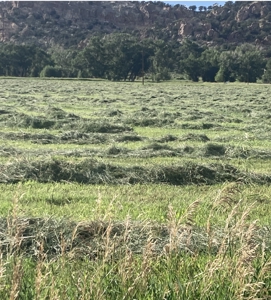 Cattle Ranch for Sale in Red Wing, CO - image 31