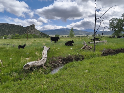 Huerfano River Cattle Ranch on 165 Acres for Sale in Red Wing, CO - image 42