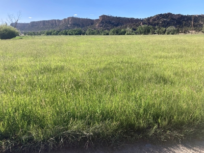 Cattle Ranch for Sale in Red Wing, CO - image 34