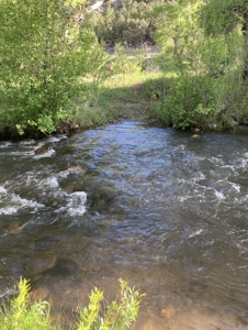 Cattle Ranch for Sale in Red Wing, CO - image 44