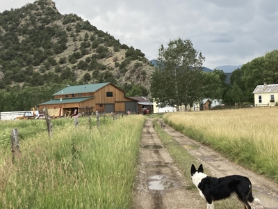 Cattle Ranch for Sale in Red Wing, CO - image 41