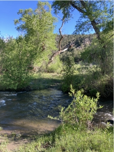 Cattle Ranch for Sale in Red Wing, CO - image 30