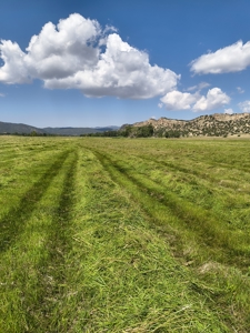 Huerfano River Cattle Ranch on 165 Acres for Sale in Red Wing, CO - image 45