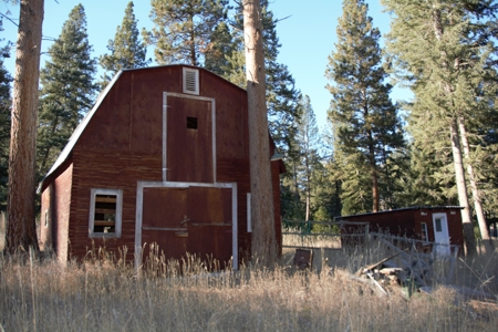 Country Home on Acreage Near Lolo, MT! - image 36