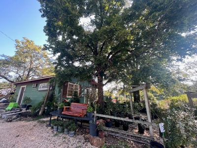 3.86 Commercial Property - Woodyard/Nursery - image 3