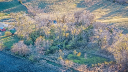 Home For Sale On An Orchard - image 48