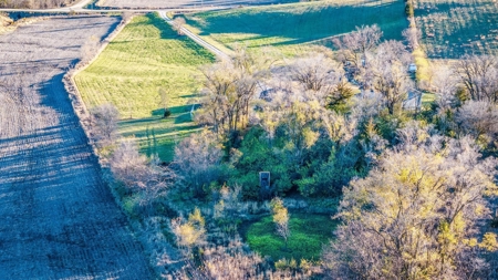 Home For Sale On An Orchard - image 47