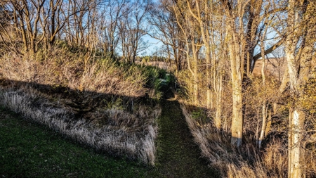 Home For Sale On An Orchard - image 45