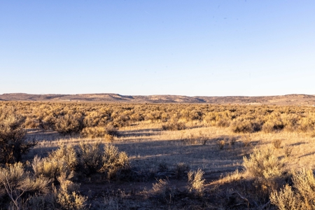 Eastern Oregon 40 Acres - image 8