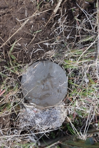 Eastern Oregon 40 Acres - image 3