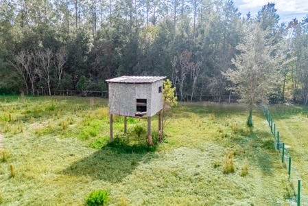 Country Home On 20 Acres- Archer, Florida - image 15