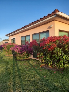 Modern Home with Spacious Backyard at Hacienda Pacífica - image 7