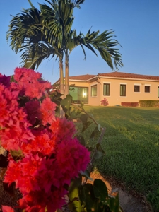 Modern Home with Spacious Backyard at Hacienda Pacífica - image 14