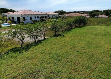 Modern Home with Spacious Backyard at Hacienda Pacífica - image 40