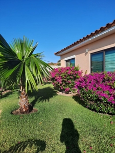 Modern Home with Spacious Backyard at Hacienda Pacífica - image 10