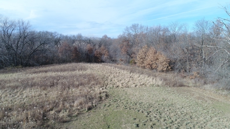 Northern Scotland County MO Farm FOR SALE! - image 39